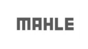 WhatsApp Image 2023-03-08 at 20.56.18