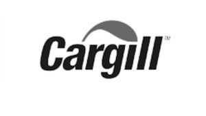 WhatsApp Image 2023-03-08 at 20.56.19